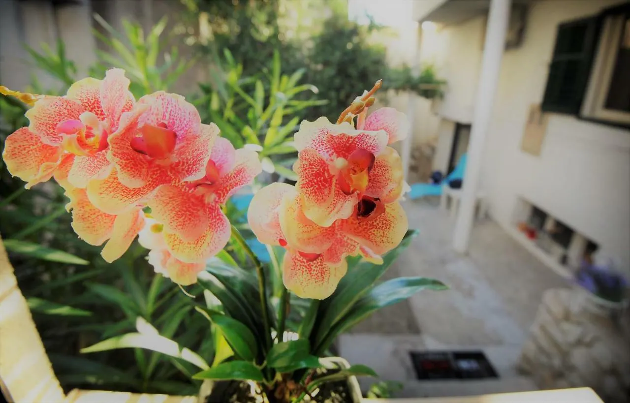 Apartman Bella Apartment Split